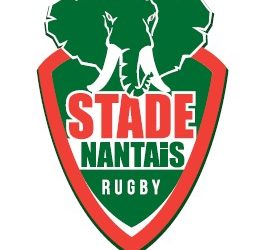 Stégys nouveau partenaire des éléphants nantais !